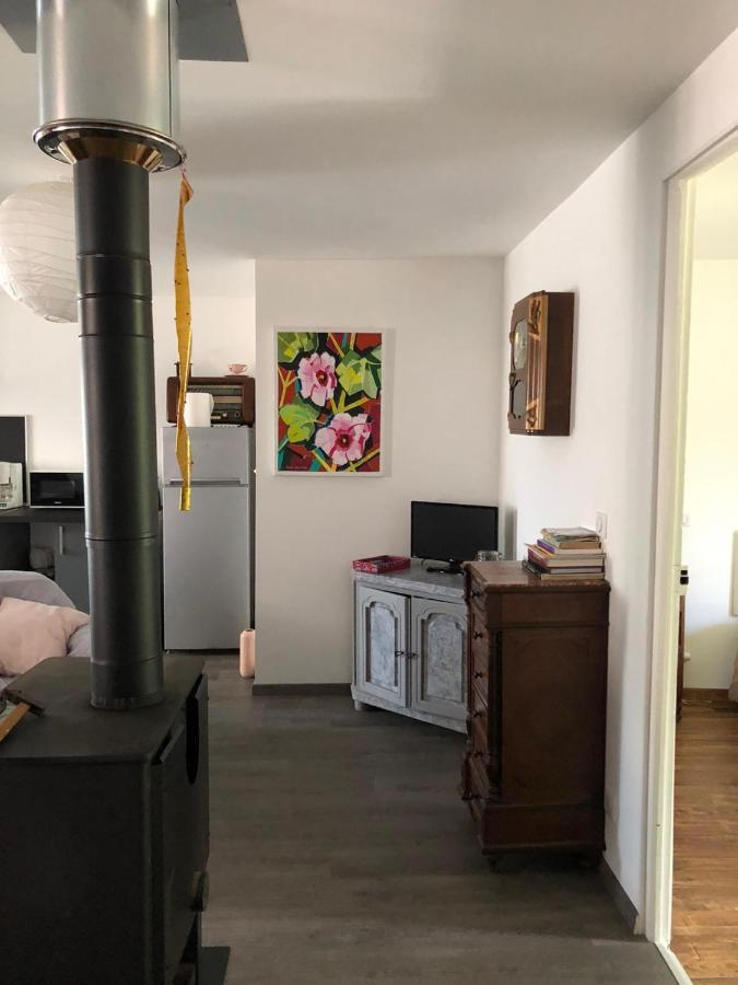 Ferienwohnung Le Monrepos Avec Jacuzzi Nordique Bielle Exterior foto